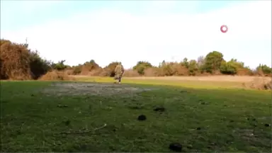 Kuş ve Doğa Fotoğrafçılarının 'Kuş Cenneti' Talebi