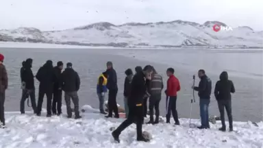 Donan Gölde Mahsur Kalan Yavru Köpek İçin Seferberlik