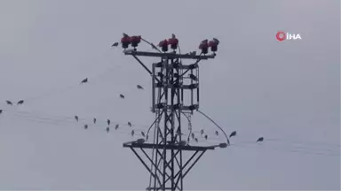 Hayvan Sevgisini Kısa Film ile Anlatacak