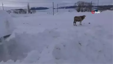 Ardahan'da Kar ve Tipi Ulaşımı Aksatıyor