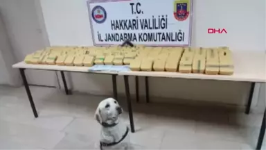 Hakkari Araçta 'Bingo' ile Yapılan Aramada 73 Kilo Eroin Ele Geçirildi - Yeniden