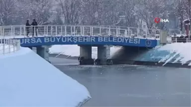 Buz Tutan Havuzu Görenler Hayran Kaldı