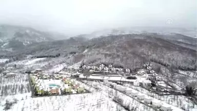 İstanbul'un Arka Bahçesi