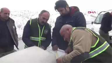 Şırnak'ta Yaban Hayvanları İçin Doğaya Yem Bırakıldı