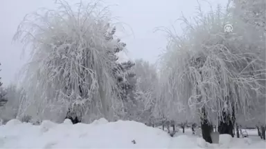 Doğu Anadolu'da Soğuk Hava