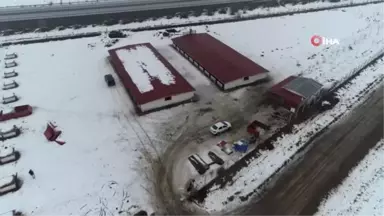 Sivas Kangalı, İspanya'da Türkiye'yi Temsil Edecek