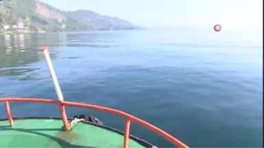 Karadeniz'de Mezgit Bolluğu