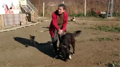 Doğuştan İki Gözü Olmayan Köpeğe Bebeği Gibi Bakıyor