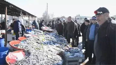 Karadeniz Hamsisine Yoğun İlgi