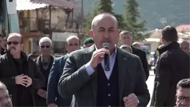 Çavuşoğlu: 