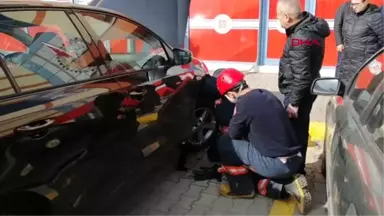 Düzce Aracının Motoruna Giren Köpek Çıkarıldı, Sonra Sahiplendi