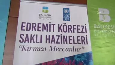 Edremit Körfezi Saklı Hazineleri Kırmızı Mercanlar Projesi