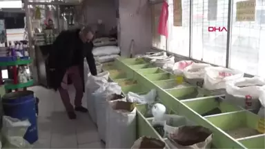 Manisa Bıraktığı Sigaranın Parasıyla Sokak Hayvanlarına Mama Alıyor