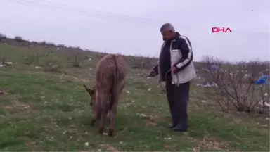 Gaziantep Sıpaya İşkenceye Büyük Tepki