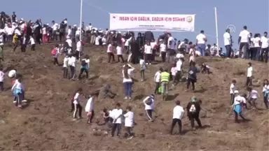 Yangında Zarar Gören 36 Hektar Arazi Ağaçlandırıldı