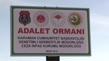 Karaman'da Adalet Ormanı Oluşturuluyor