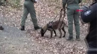 Boğaziçi Üniversiteli Arda, Belgrad Ormanında Aranıyor (2