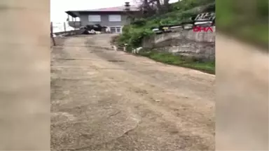 Rize Oğlak ile Köpeğin Kıskandıran Dostluğu