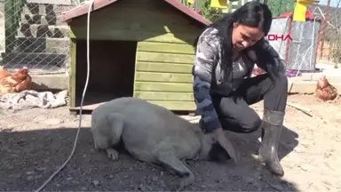 İzmir Sopayla Dövülen Adalet Kör Oldu