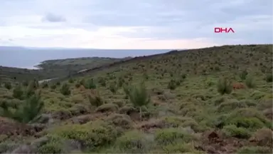 Çanakkale Ege'nin Turizm Cenneti Bozcaada, 'Yeşil Ada' Oluyor