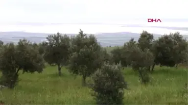 Hatay'da Yağış, Sel ve Su Baskınlarına Yol Açtı