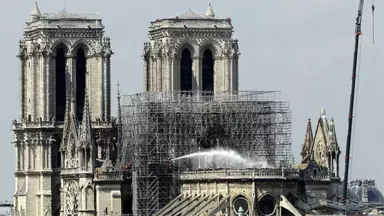 Notre-Dame'daki Arılar Yangından Sağ Kurtuldu