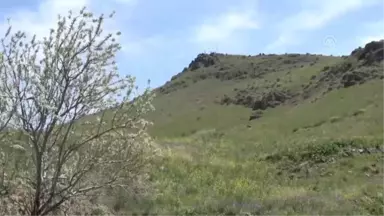 Sakarya Şehitleri Yürüyüşle Anıldı