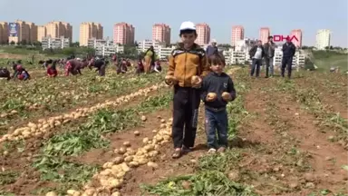 Adana Tarım İşçisi Çocuklar Okula Devam Etmek İstiyor