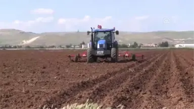 Şanlıurfa'da Pamuk Tohumları Toprakla Buluşuyor