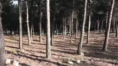 Evdeki Kan İzleri ve Bıçak Cinayeti Aydınlattı