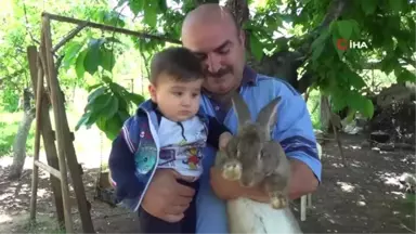 Bu Tavşanı Görenler Gözlerine İnanamıyor