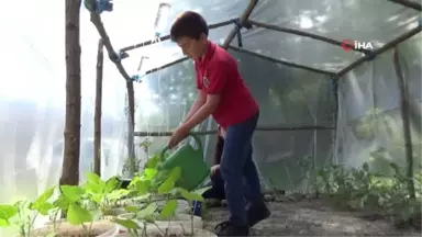 En organik okul...Öğrenciler bu okulda tavuk besliyor, sebze ve meyve yetiştiriyor