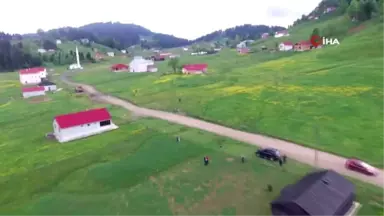 Mor Yayla bu sefer sarıya büründü...Manzara havadan görüntülendi