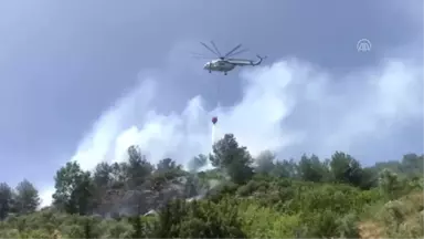 Orman ve tarım arazisinde yangın