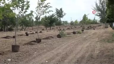 AKÜ'de bin 200 fidan toprakla buluştu