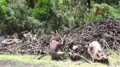 ANTALYA 20 YILDIR PİKNİKÇİLER İÇİN MANGAL 19 MAYIS GÜNDEMİ KÖMÜRÜ ÜRETİYOR