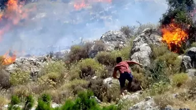 Balıkesir'de orman yangını