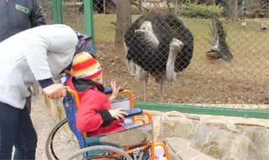 Savaş Mağduru Çocuklar İlk Kez Hayvanat Bahçesi Gördü