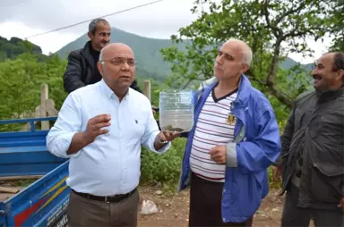 Ordulu Vatandaş Ejderha Bulduğunu Sandı, Gerçek Bambaşka Çıktı