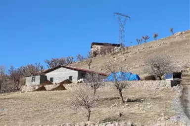 Ev Bulamayan Şırnaklı Aile Ahıra Yerleşti