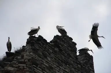 Topkapı Surlarında Göç Molası