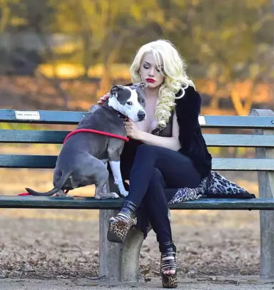 Televizyon Yıldızı Courtney Stodden, Sütyeniyle Köpek Gezdirmeye Çıktı