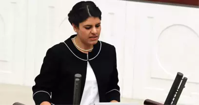 Dilek Öcalan Hakkında Yakalama Kararı Çıkarıldı