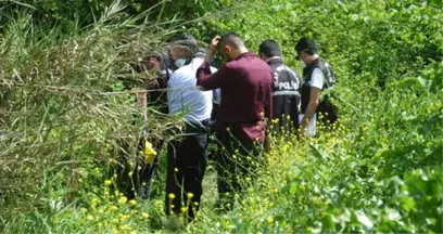 Piknik Yaparken Toprağa Gömülü İnsan İskeleti Buldular