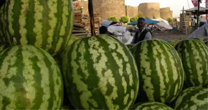 Diyarbakır Karpuzu Aslında Meksika'dan GDO'lu Çekirdeklerden Üretiliyormuş