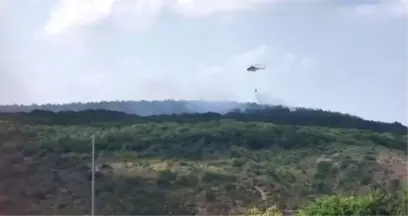 Sarıyer Rumeli Feneri'nde Bulunan Ormanlık Alanda Yangın Çıktı