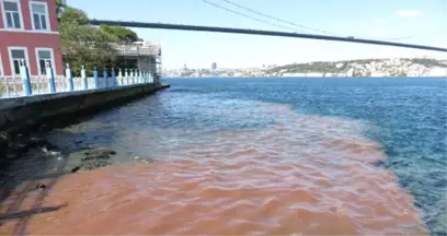 İstanbul'da Manzara Bu Yıl da Değişmedi! Boğaz Kan Gölüne Döndü