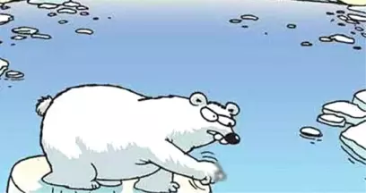 Ders Kitabına Giren Kutup Ayılı Karikatürle İlgili Tartışmalara Çizeri Cevap Verdi: Sorsanız Söylerdim