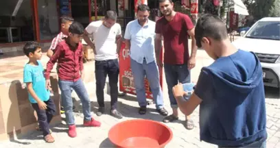 Şanlıurfalı Kasap, Mağarada Nesli Tükenmekte Olan 'Urfa Keleri' Buldu