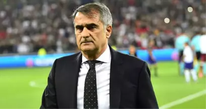 TFF Başkanvekili Servet Yardımcı: Şenol Güneş'e Teklif Götürdük